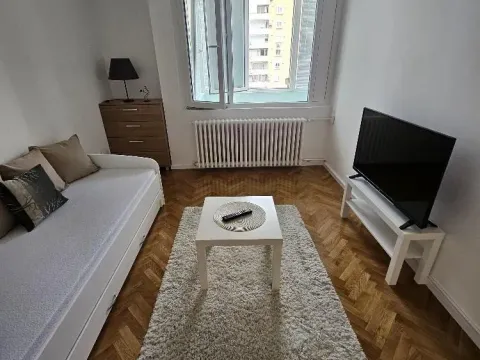 Rent, one bedroom apartment, 31m², Lion, Zvezdara Sve Podlokacije - image 2