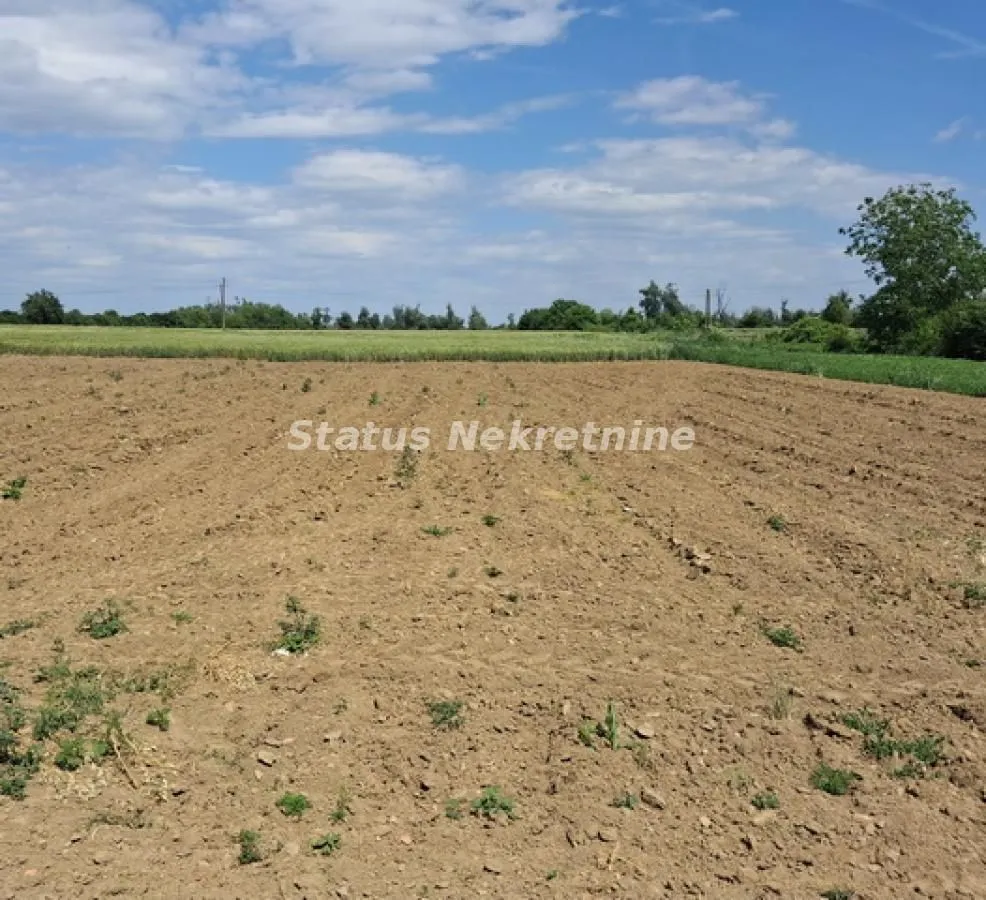 Prodaja, plac, 720m², Begeč, Novi Sad Sve Podlokacije