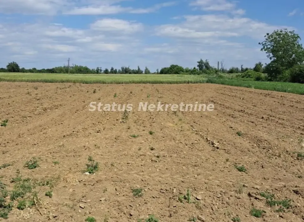 Prodaja, plac, 720m², Begeč, Novi Sad Sve Podlokacije
