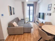 Rent, one bedroom apartment, 34m², Tološi, Podgorica - image 10