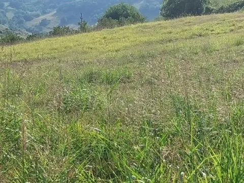 Prodaja, plac, 1500m², Beočin, Srbija - image 5