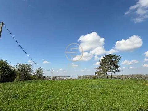 Prodaja, plac, 6157m², Sremska Kamenica, Petrovaradin - image 5