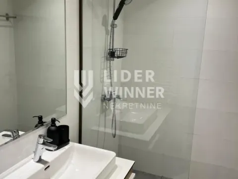 Izdavanje, dvosoban stan, 54m², Savski Venac, Beograd - image 18