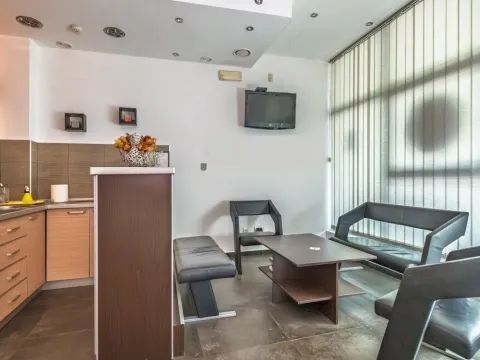 Prodaja, poslovni prostor, 327m², Pod Goricom, Podgorica - image 5