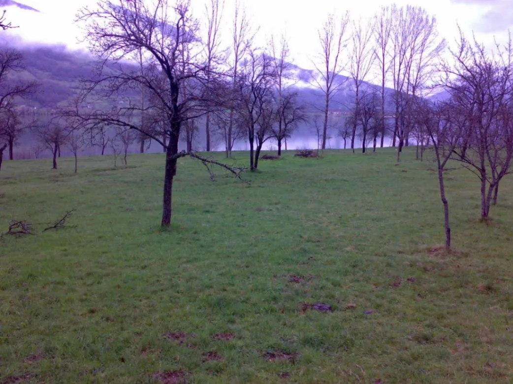 Prodaja, plac, 1750m², Vojno Selo, Plav