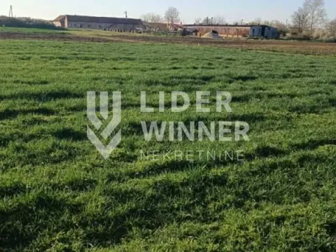 Sale, land lot, 20100m², Petrovčić, Surčin - image 5