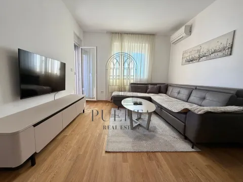 Izdavanje, jednosoban stan, 46m², Stari Aerodrom, Podgorica - image 1