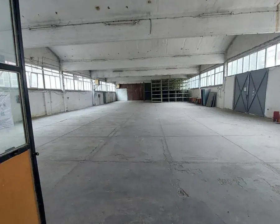 Izdavanje, poslovni prostor, 760m², Palilula, Niš