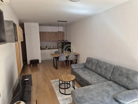 Rent, two bedroom apartment, 51m², Južni Bulevar, Vračar Sve Podlokacije - image 5