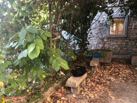 Dvorište kuće sa kamenim klupama i zelenilom. - image 8