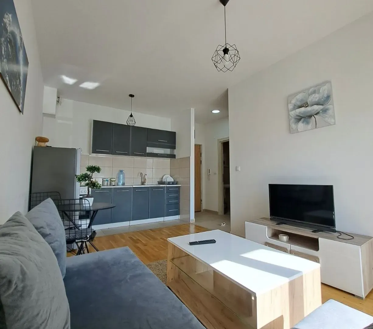 Rent, one bedroom apartment, 33m², Zabjelo, Podgorica