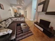 Rent, two bedroom apartment, 48m², Nova Detelinara, Novi Sad Sve Podlokacije - image 1