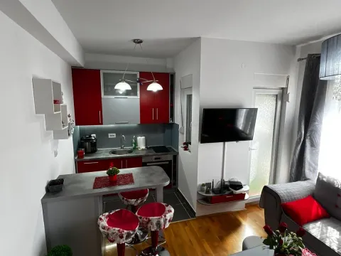 Izdavanje, jednosoban stan, 35m², Zabjelo, Podgorica - image 4