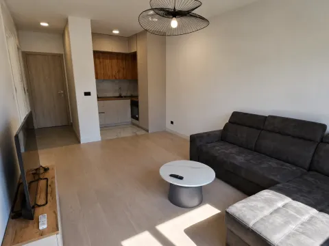 Rent, one bedroom apartment, 47m², Krivi Most, Podgorica - image 2