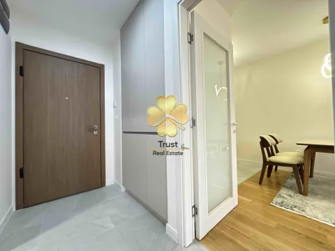 Izdavanje, jednosoban stan, 49m², Central Point, Podgorica - image 10