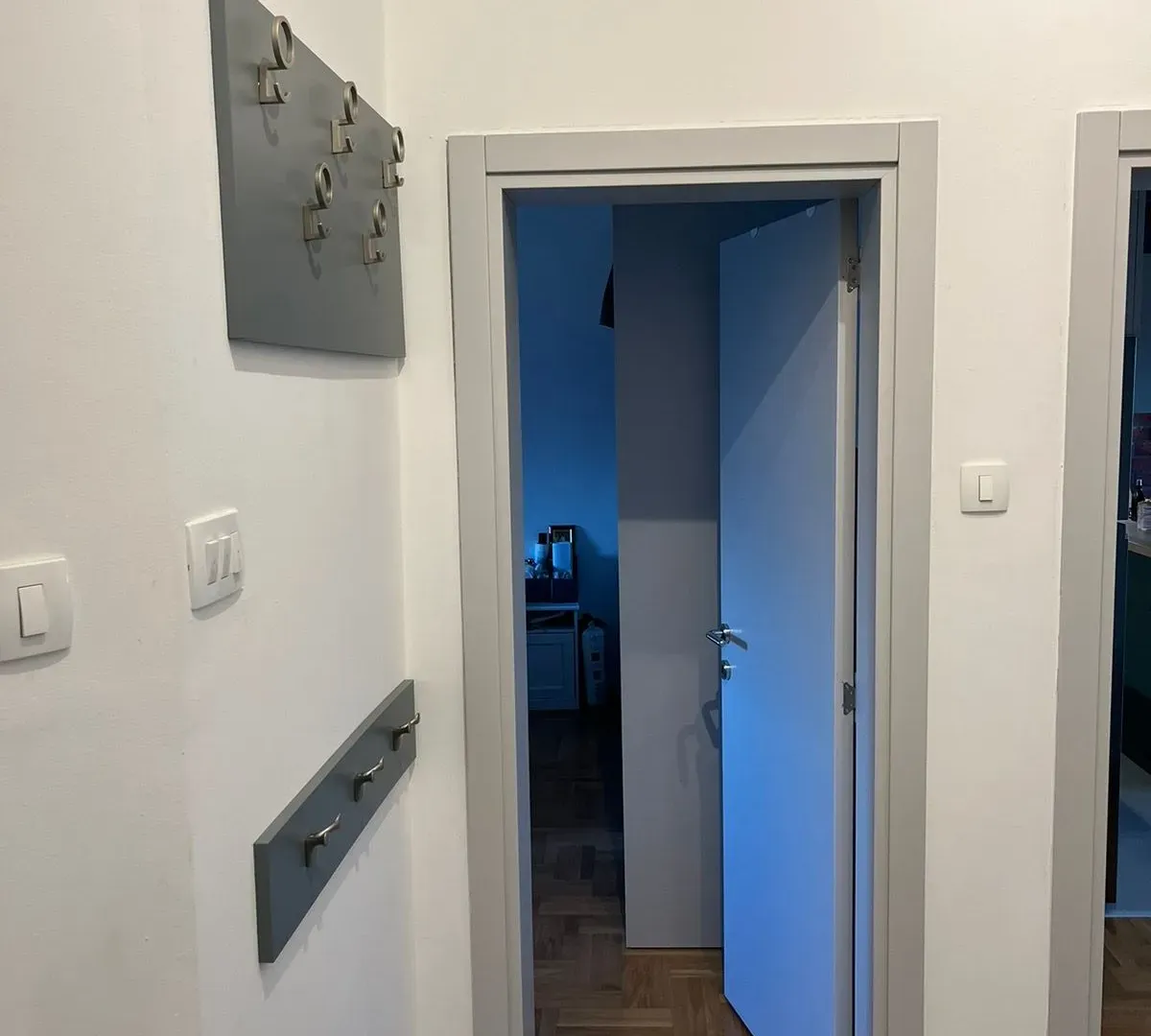 Rent, apartment, 55m², Tuški Put, Podgorica