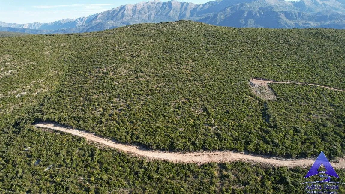 Prodaja, plac, 18487m², Zagora, Kotor