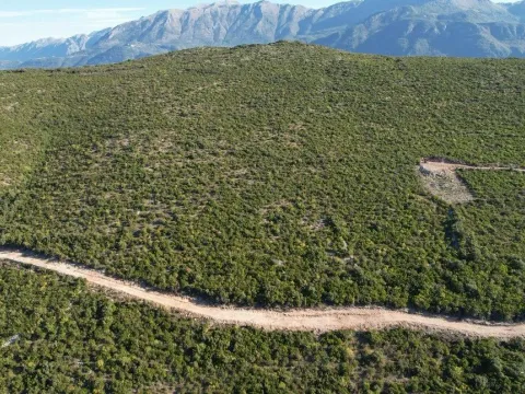 Sale, land lot, 18487m², Zagora, Kotor - image 3