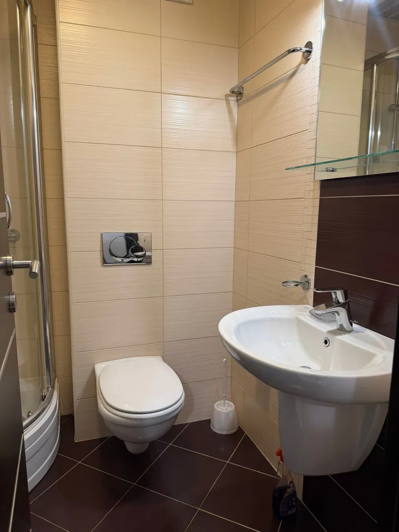 Modern bathroom equipped with a washbasin, toilet bowl and shower cabin.