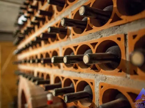 Prodaja, ugostiteljski objekat, 487m², Velji Vinogradi, Budva - image 5