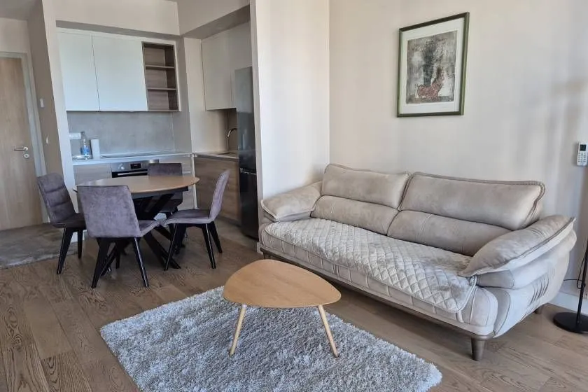 Izdavanje, dvosoban stan, 53m², Beograd Na Vodi, Beograd