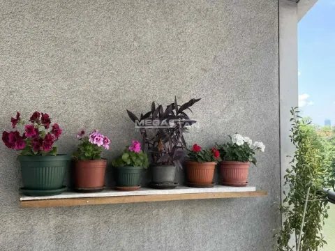 Sale, three bedroom apartment, 101m², Vračar Hram, Vračar Sve Podlokacije - image 15