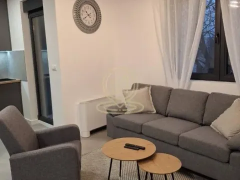 Rent, two bedroom apartment, 45m², Pasino Brdo, Voždovac Sve Podlokacije - image 3