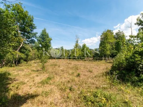 Sale, land lot, 6500m², Blatina, Kolašin