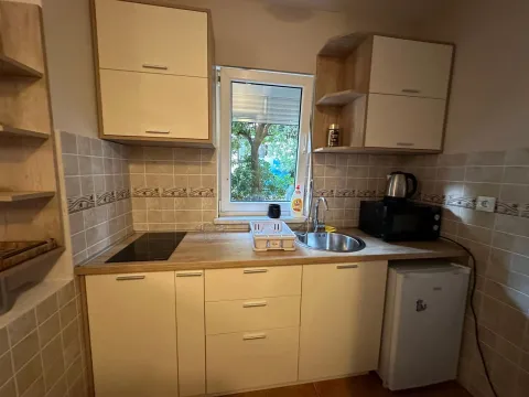 Izdavanje, garsonjera, 29m², Podkošljun, Budva - image 6