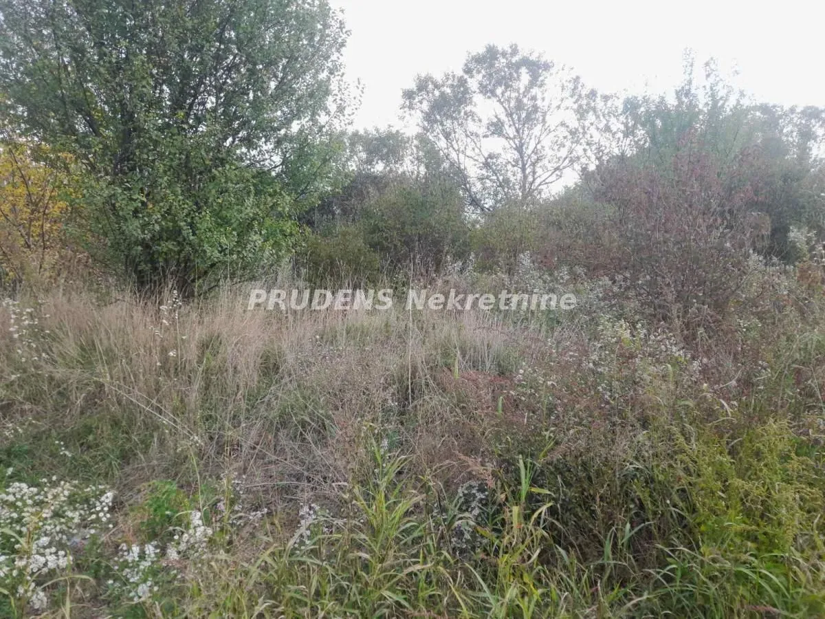 Prodaja, plac, 8300m², Dobanovci, Surčin