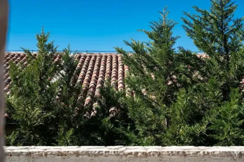 Pogled sa terase na krov i drveće. - image 16