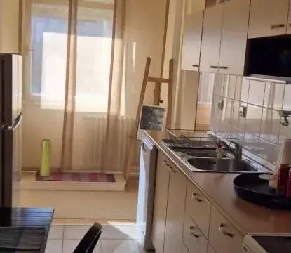 Izdavanje, dvosoban stan, 55m², Botanička Bašta, Palilula Sve Podlokacije - image 6