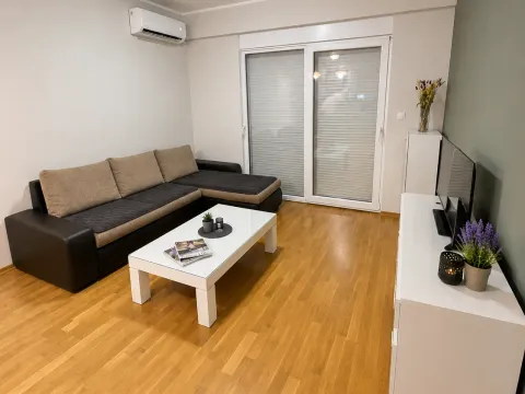 Rent, one bedroom apartment, 43m², Zabjelo, Podgorica - image 2