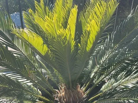 Sale, house, 587m², Kuljače, Budva - image 19