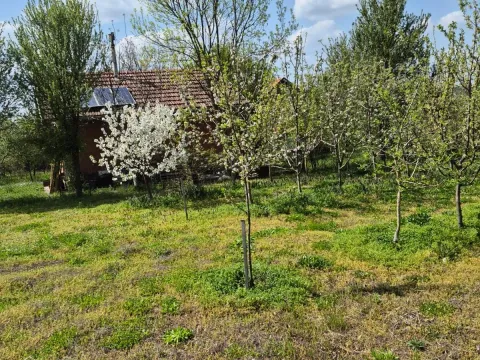 Prodaja, plac, 2950m², Voždovac Sve Podlokacije, Beograd - image 10