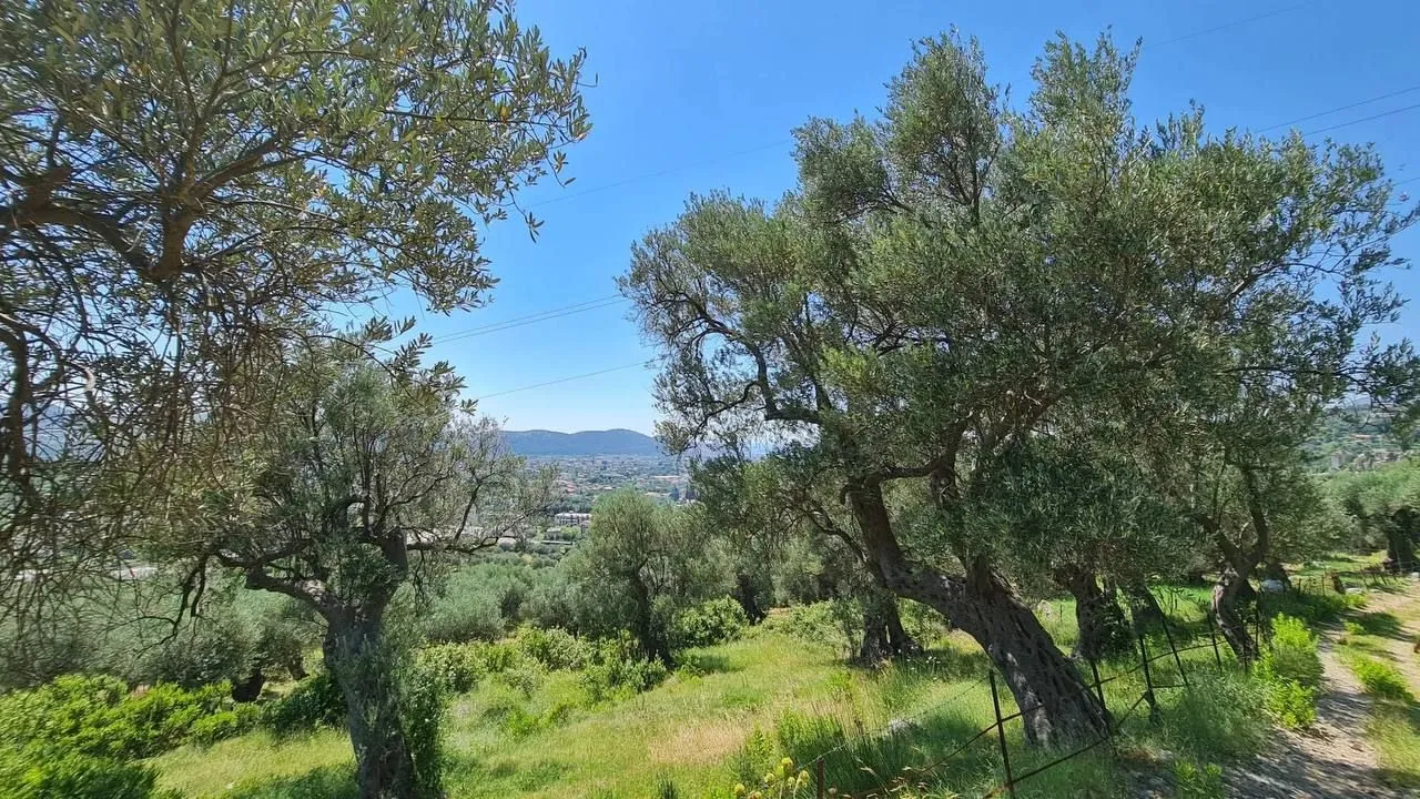 Prodaja, plac, 10000m², Stari Bar, Bar