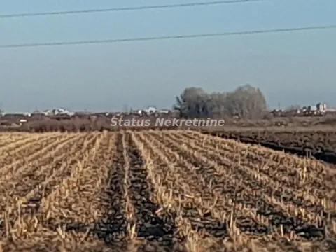 Prodaja, plac, 12100m², Futog, Novi Sad Sve Podlokacije - image 9