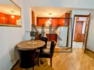 Izdavanje, jednosoban stan, 48m², Preko Morače, Podgorica - image 5