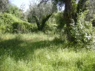 Sale, land lot, 560m², Kamenovo, Budva - image 2