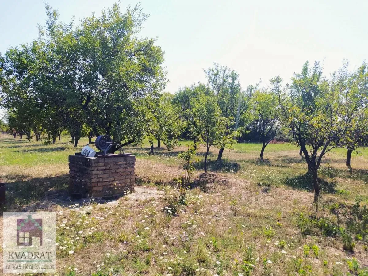 Prodaja, plac, 5900m², Konatice, Obrenovac