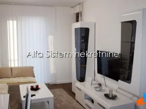 Rent, two bedroom apartment, 40m², Lion, Zvezdara Sve Podlokacije - image 5
