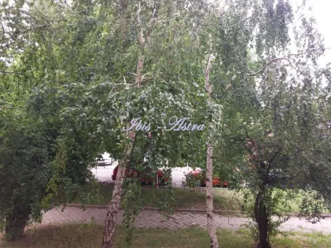 Prodaja, dvosoban stan, 66m², Crveni Krst, Beograd - image 12
