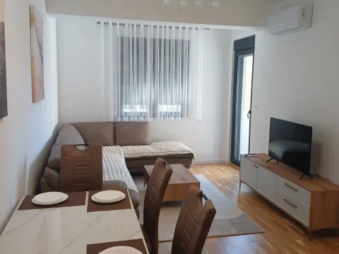 Izdavanje, jednosoban stan, 44m², Stari Aerodrom, Podgorica - image 2