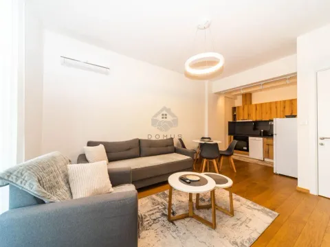 Izdavanje, jednosoban stan, 60m², Stara Varoš, Podgorica - image 3