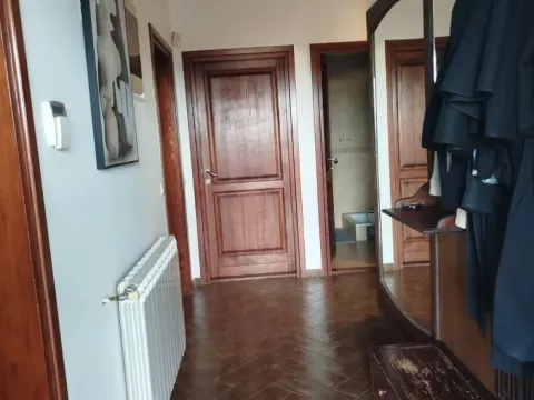 Rent, house, 250m², Olimp, Zvezdara Sve Podlokacije - image 18
