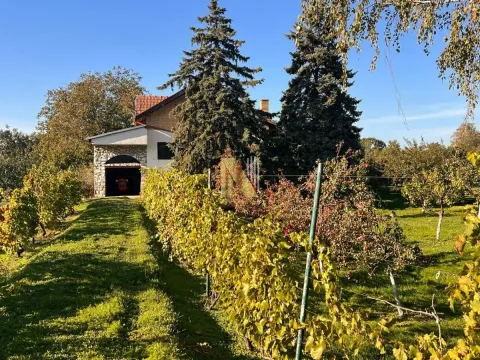 Sale, land lot, 190m², Kikinda, Srbija - image 17