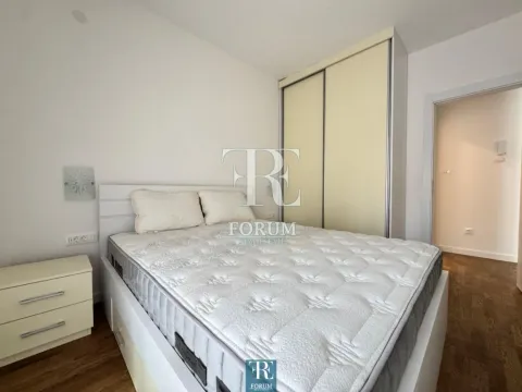 Izdavanje, jednosoban stan, 50m², Stari Aerodrom, Podgorica - image 8