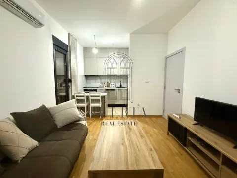 Rent, one bedroom apartment, 39m², Zabjelo, Podgorica - image 2