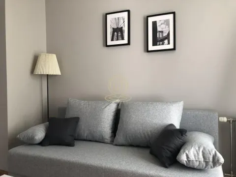 Rent, one bedroom apartment, 30m², Grbavica, Novi Sad Sve Podlokacije - image 1