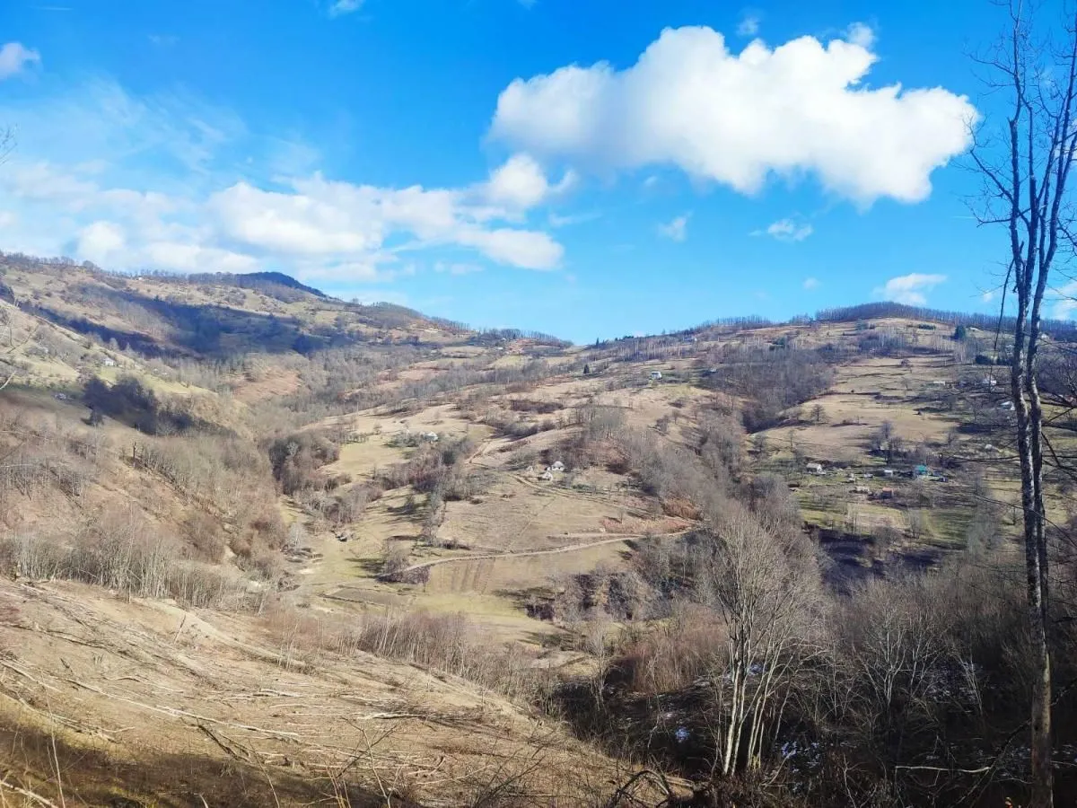Prodaja, plac, 50000m², Mojkovac, Crna Gora